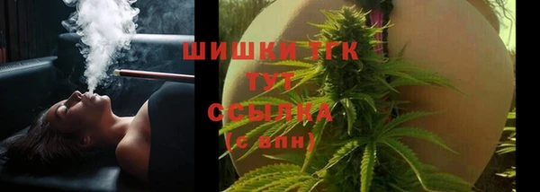 трава Аркадак