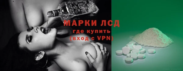 индика Данков