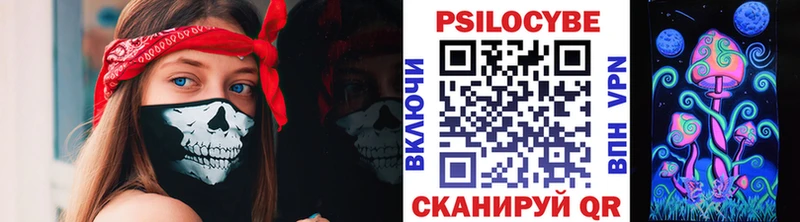 кракен зеркало  Георгиевск  Псилоцибиновые грибы мицелий 