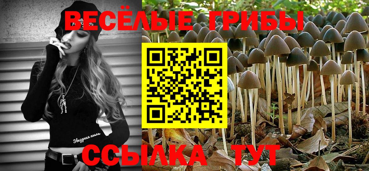 хочу   Вход с VPN  Георгиевск  Псилоцибиновые грибы Magic Shrooms 
